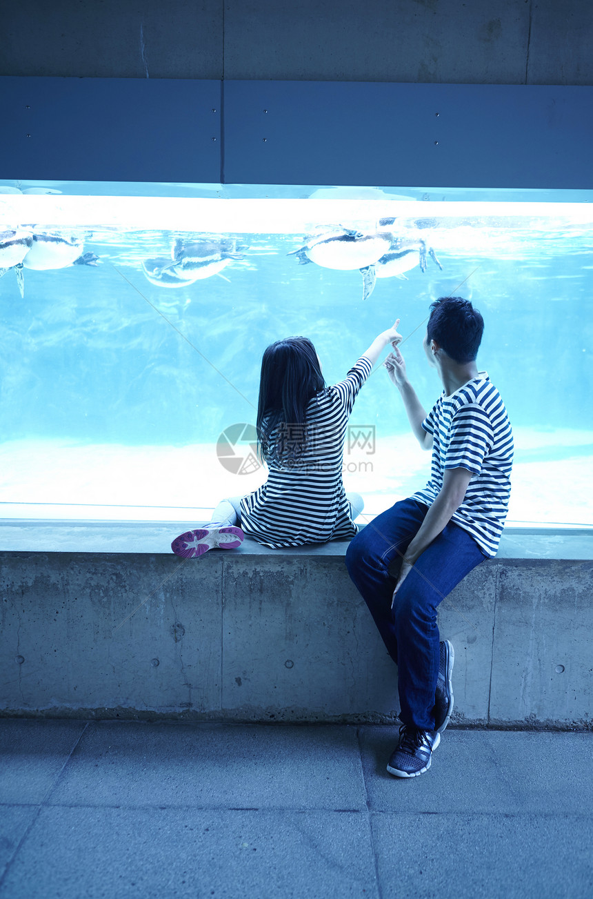 海洋水族馆观光的父女图片