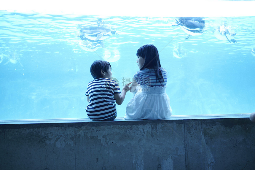 参观水族馆的兄妹的背影图片