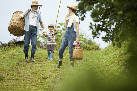 去乡村采摘农物的一家人图片