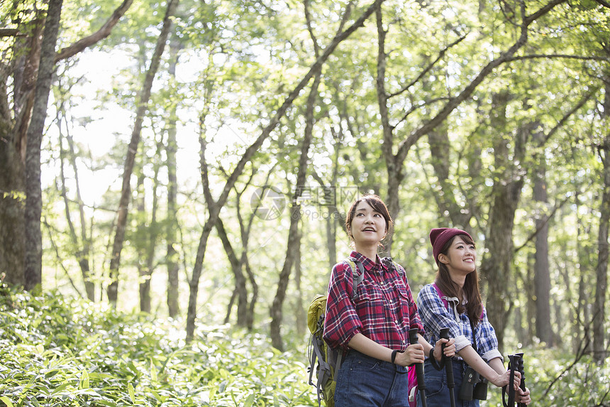 森林中徒步旅行的两名女性图片
