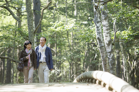 新鲜女用披肩拖延一对夫妇享受散步透过树叶的阳光高清图片素材
