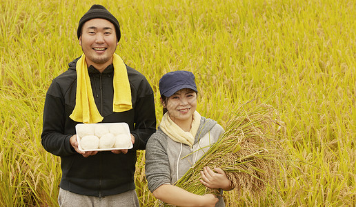 农民在田里收割小麦工作高清图片素材