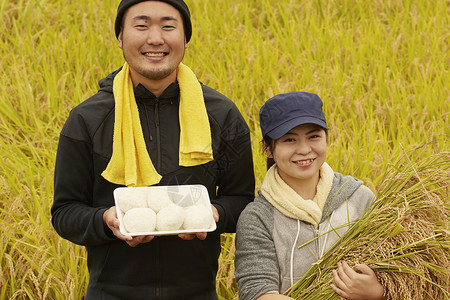 农民在田里收割小麦米饭高清图片素材
