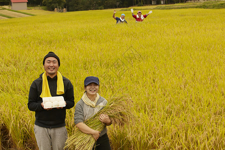 农民在田里收割小麦乡村生活高清图片素材
