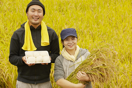 农民在田里收割小麦饭团高清图片素材