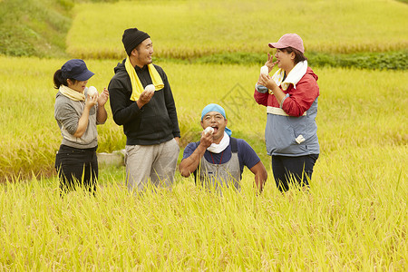 农民在田里收割小麦乡下高清图片素材