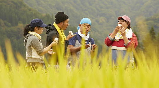 农民在田里收割小麦乡村高清图片素材