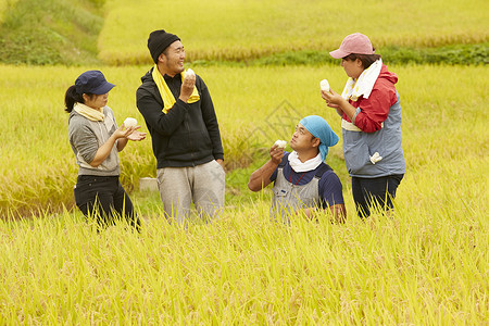 农民在田里收割小麦吃高清图片素材