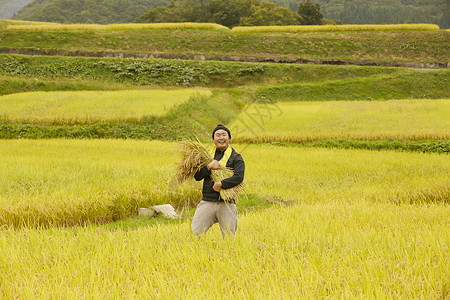 农业工作者水稻米丰收工业高清图片素材