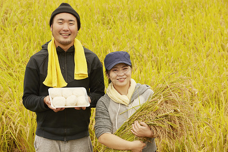 农业工作者水稻米丰收食品高清图片素材