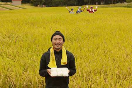 农业工作者水稻米丰收饭团高清图片素材