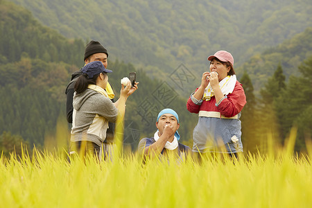 农田里的农民肖像稻田高清图片素材