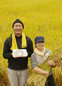 收获水稻的农民肖像食品高清图片素材