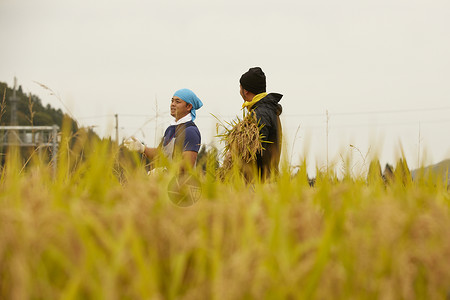 抱着稻子的农民形象职业高清图片素材