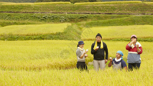 收割水稻过程中休息吃饭的农民自信高清图片素材
