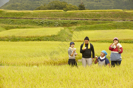 收割水稻过程中休息吃饭的农民自给自足高清图片素材