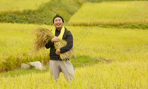 收获水稻的农民肖像笑容高清图片素材