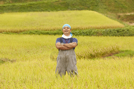收获水稻的农民肖像乡下高清图片素材