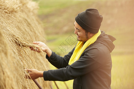 收获稻谷的农民图片