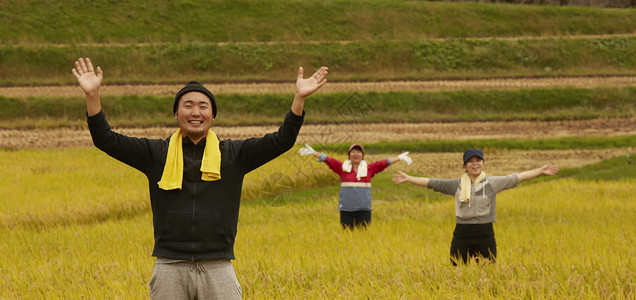 稻田里的农民水稻高清图片素材