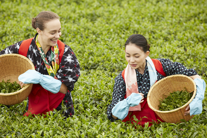 开心的采茶女图片