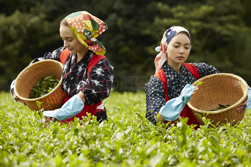  抱着竹筐的两名女性图片