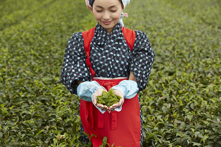 手捧茶叶的妇女图片