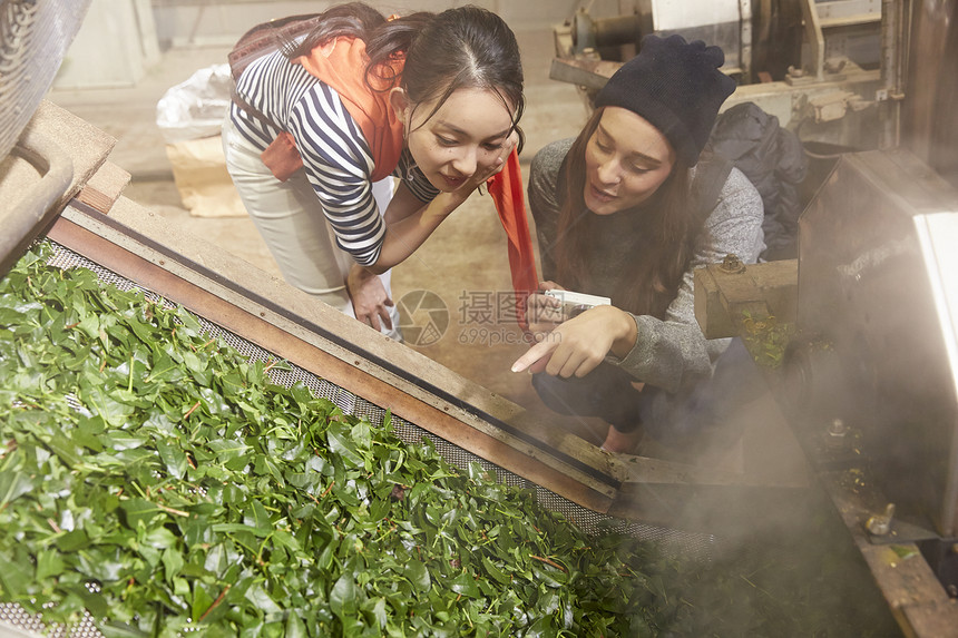 青年女子参观茶叶加工厂图片