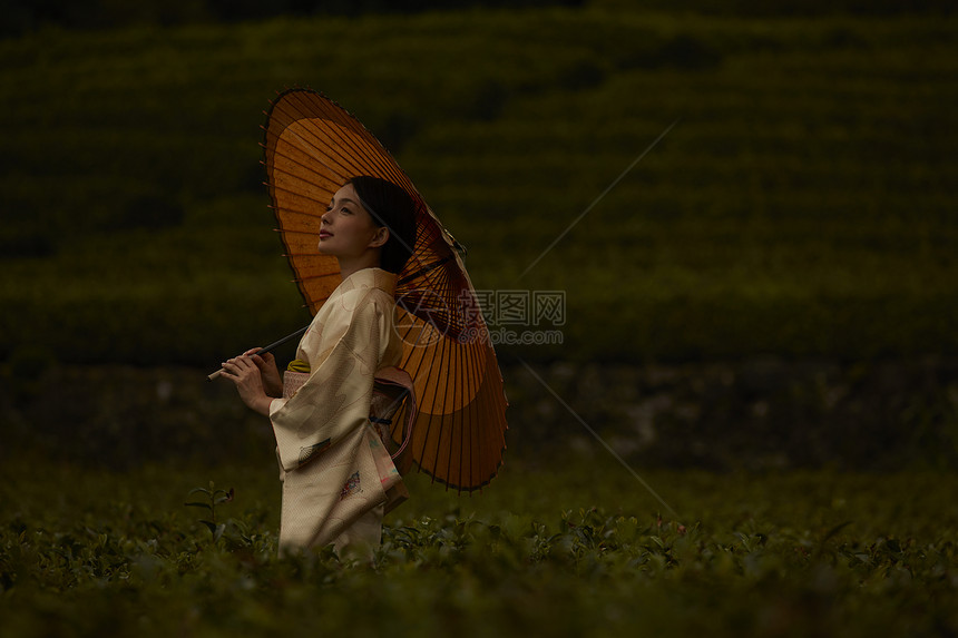 在茶园穿和服的优雅女人图片