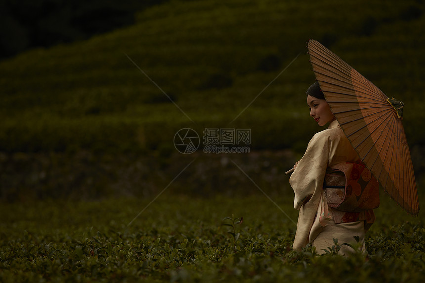 穿着和服的女子在茶园图片