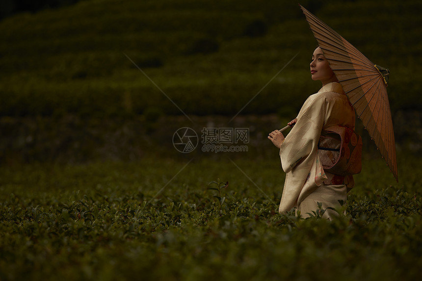 穿着和服的女子在茶园图片