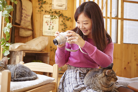 在猫咖给猫拍照的女人演奏高清图片素材