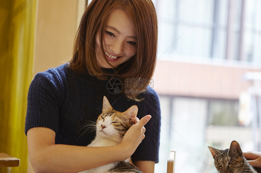 猫咖啡馆女客人抱着猫咪图片