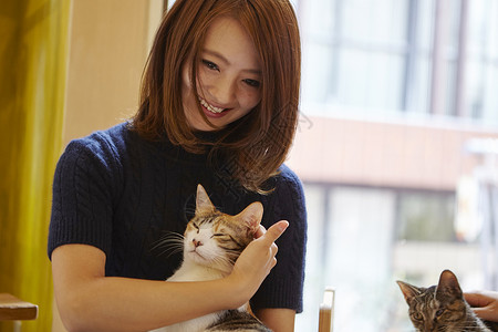 猫咖啡馆女客人抱着猫咪玩高清图片素材