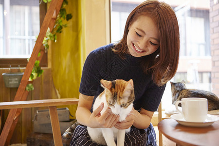 抱宠物的小姑娘在猫咖抱着猫玩的女人背景