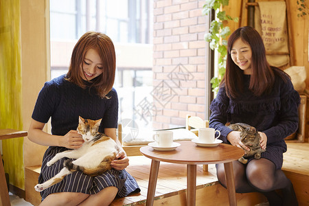 在猫咖抱着猫玩的女人客人高清图片素材
