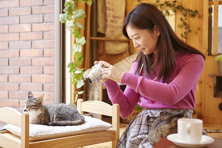 在猫咖女人给小床上的猫拍照少女高清图片素材