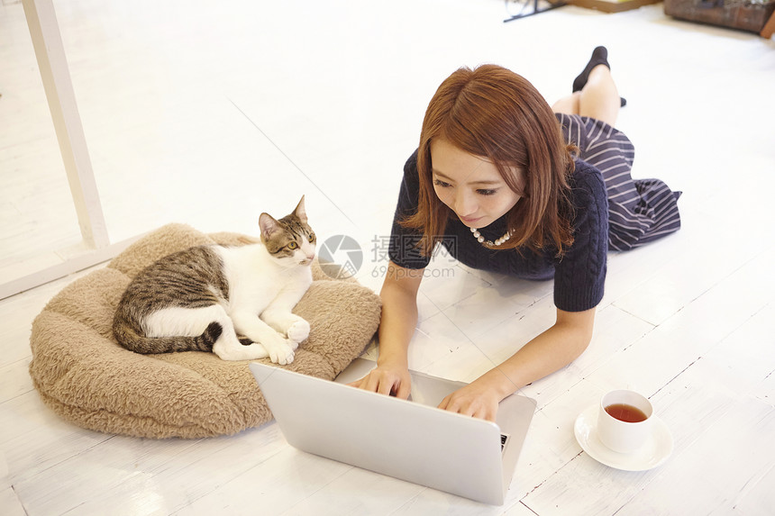 在猫咖用笔记本电脑办公的人图片