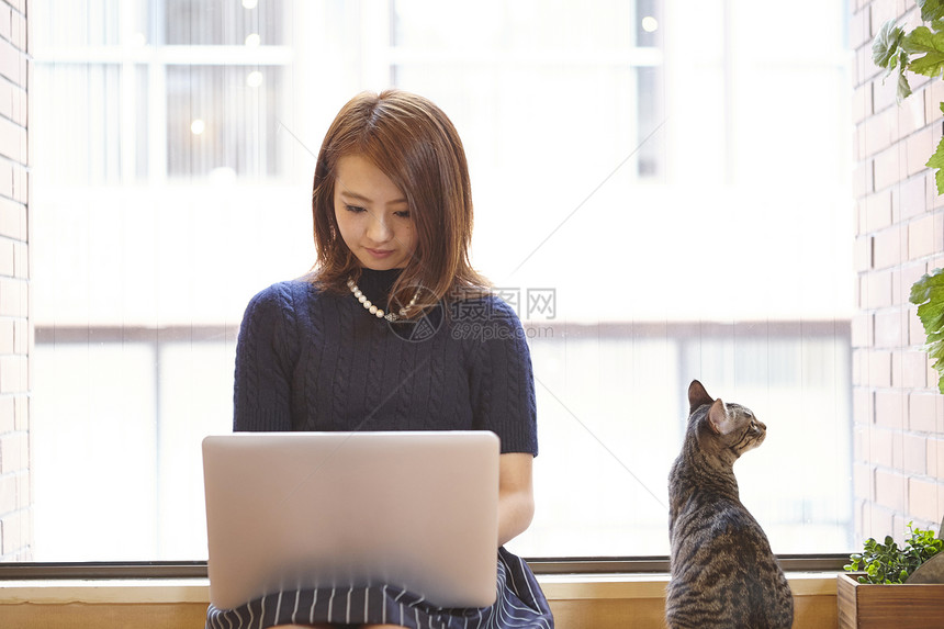 猫咪咖啡馆使用电脑的女孩图片