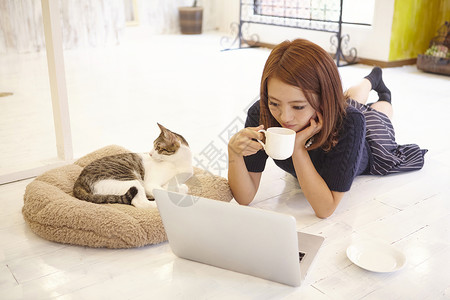在家办公的猫主人少女高清图片素材