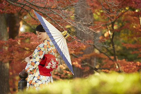 出游迎秋茶屋町穿着和服的女人大着伞站在枫叶前背景