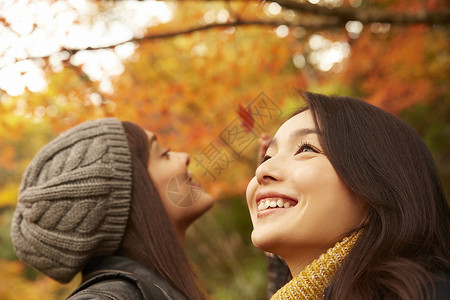 女人和外国友人一起观光欣赏枫叶仰视高清图片素材