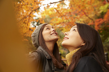 两个女人观光欣赏枫叶树高清图片素材