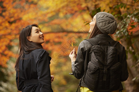 两个女人观光欣赏枫叶观光客高清图片素材