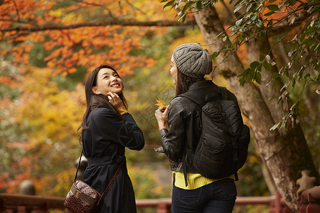 两个女人观光欣赏枫叶青年高清图片素材