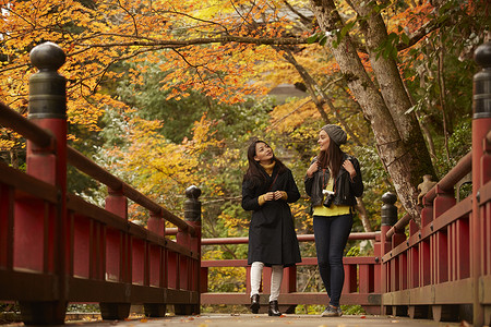 在红枫林旅游拍照的外国美女和日本美女图片