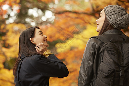 在红枫林下开心聊天的两位美女地标高清图片素材