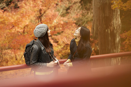 在红枫林旅游拍照的外国美女和日本美女图片