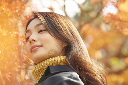 年轻女人观赏秋天枫叶观光高清图片素材