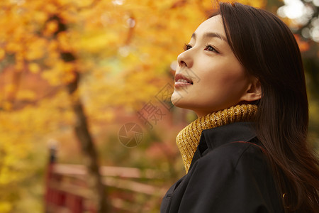 年轻女人观赏秋天枫叶青年高清图片素材